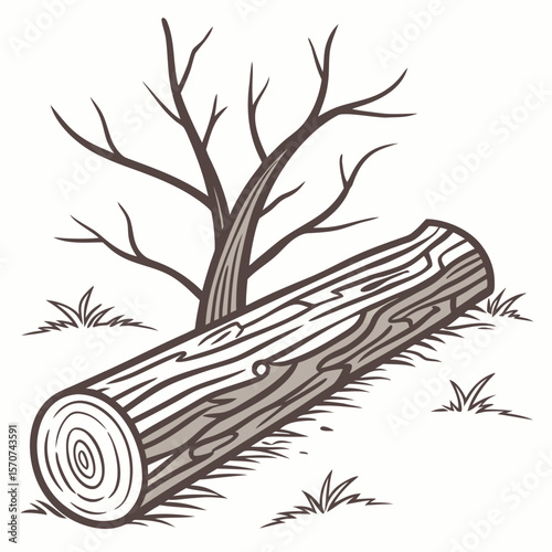 Fallen log and bare tree branches wood