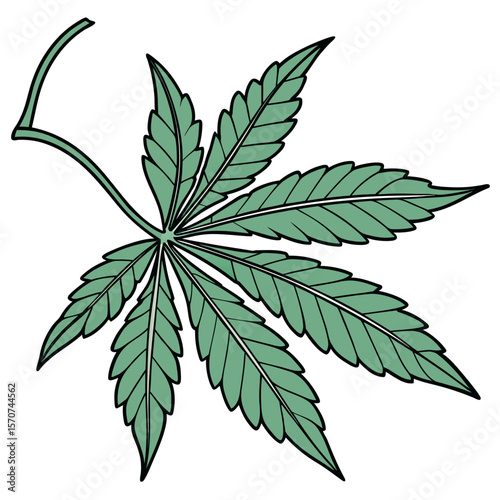 Green cannabis leaf illustration marijuana plant