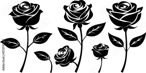 "Set of 6 Elegant Rose Silhouettes in Vector Style"

