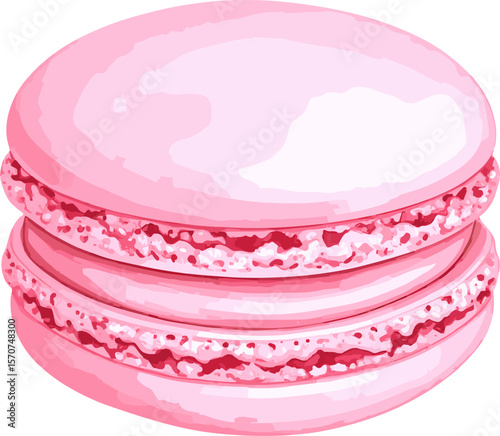 Macaroon watercolor vector illustration