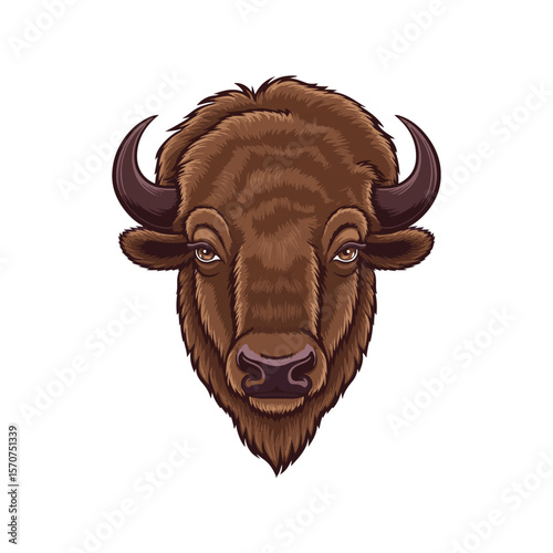 Buffalo head