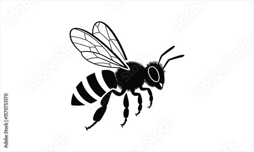 Detailed insect design silhouette