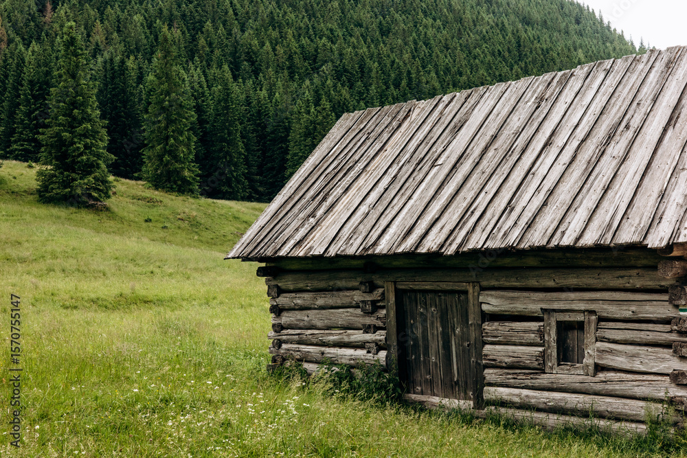 A cozy wooden cabin nestled in the Tatra Mountains near Zakopane, glowing under the warm sun of a clear summer day
A cozy wooden cabin nestled in the Tatra Mountains near Zakopane, glowing under the warm sun of a clear summer day