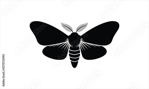 Elegant moth silhouette design