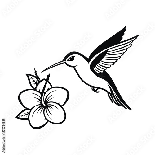 Black hummingbird hovering near a tropical flower nature