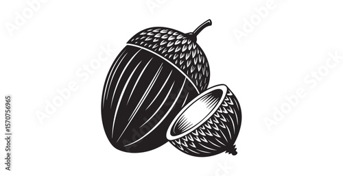 Stylized black and white acorn and half acorn silhouette