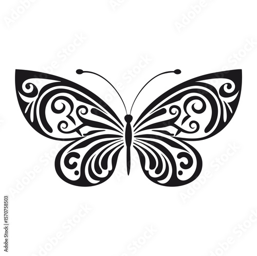 Ornate black butterfly with swirling wing patterns insect white