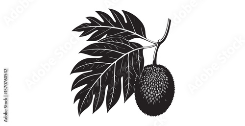 Artistic black and white illustration of a breadfruit and large leaves silhouette