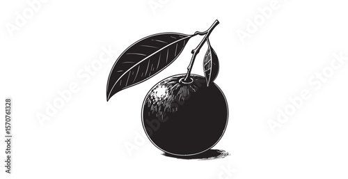 Detailed black and white illustration of a single orange fruit with leaves on a branch silhouette