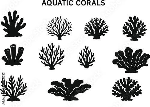 Aquatic corals. Natural aquatics reef coral set silhouettes isolated on white background for sea or aquarium vector graphic