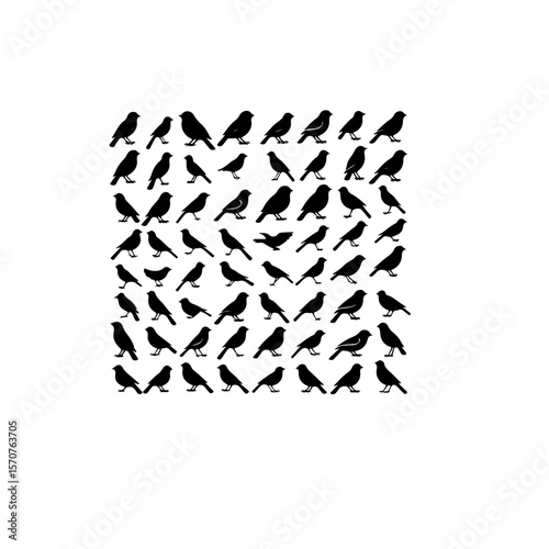 A collection of bird silhouettes arranged in a square formation