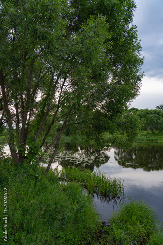 City park with a lake, with an old fence and large trees, summer day
