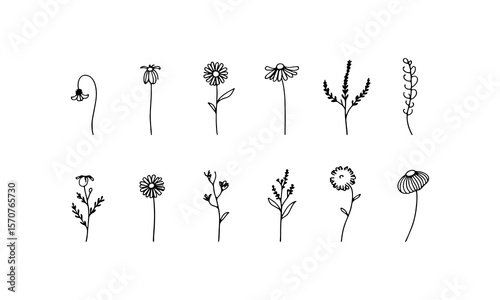 Compact Line Flowers. A compact layout of floral line illustrations with symmetrical forms and minimalistic elegance.