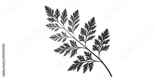 Detailed black fern frond silhouette against a clean white background