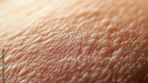 Close up of human skin texture with natural wrinkles, pores, and warm tones showing detailed surface and organic life, highlighting natural skin detail and soft warm lighting effects