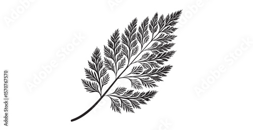 Detailed black fern frond silhouette against a clean white background