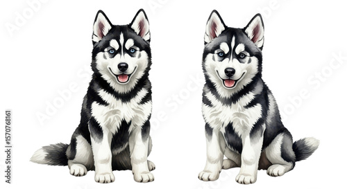 Two happy husky puppies sitting isolated on a transparent background puppy canine
