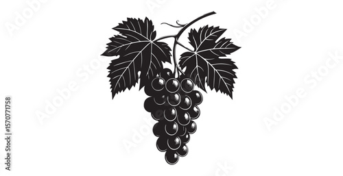 Detailed black and white illustration of a ripe grape cluster with leaves silhouette