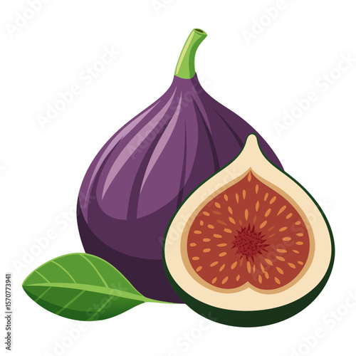 A vibrant fig illustrated in vector art style. Minimal design, flat colors, and clean lines make it perfect for health, food, or summer-themed creative projects.