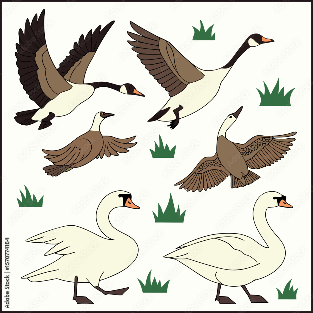 Obraz premium Hand drawn animals silhouette set