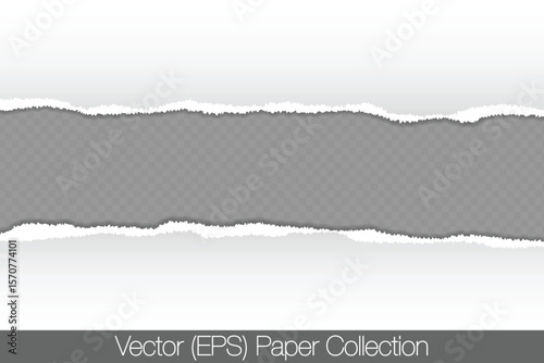 Realistic torn paper, A4 sheet of paper with torn strip of paper in the middle of the sheet, blank at the tear point, isolated on transparent background. Realistic vector paper mocap