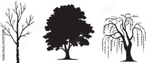 "Silhouette Trio: Tree Diversity in Shadow"
"Three Trees, Three Shapes: Nature's Contrast in Silhouette"
"Tree Silhouettes: From Oak to Pine"