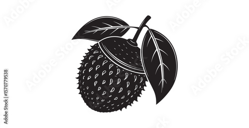 Stylized black and white silhouette of a spiky fruit with leaves