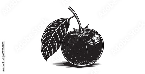 Detailed black and white illustration of a ripe tomato with a leaf silhouette