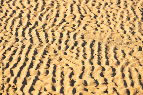 Beach sand background - sea cost detail