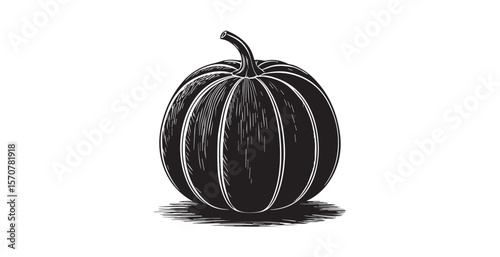 A detailed black and white pumpkin silhouette with hatching detail