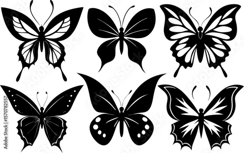 Set of 6 Black Butterfly Silhouettes in Vector Style