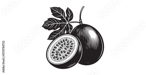 Detailed engraving style illustration of a passion fruit and leaf silhouette