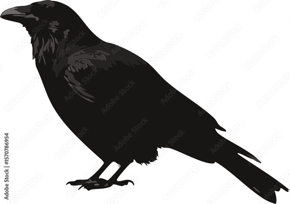 Obraz premium black crow