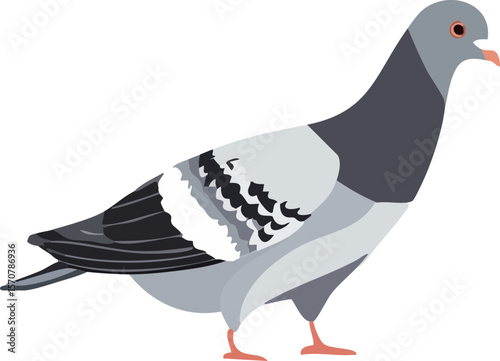 pigeon from the side