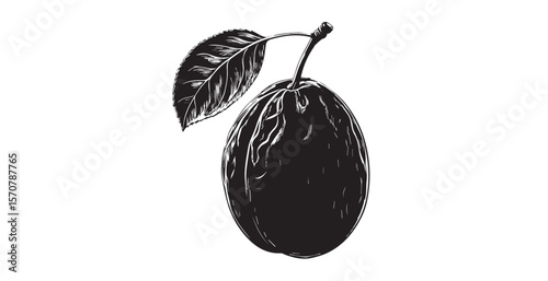 Detailed black and white illustration of a ripe plum with a single leaf silhouette