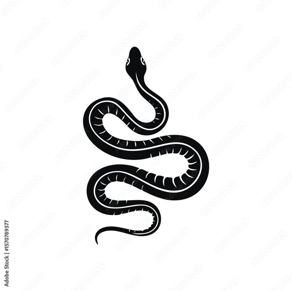 Obraz premium Black coiled serpent with white markings snake reptile