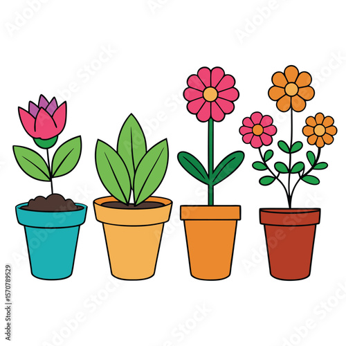Colorful Potted Plants Flower Collection