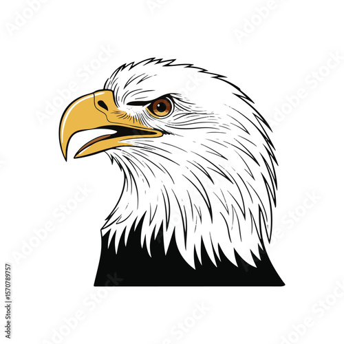 Eagle head