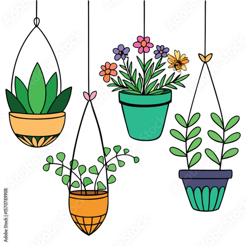 Hanging Potted Plants Flower Illustration