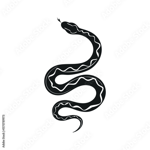 Black serpent with white wavy pattern snake reptile