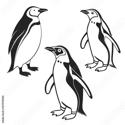 Three Black and White Penguin Silhouettes Simple Bird Designs