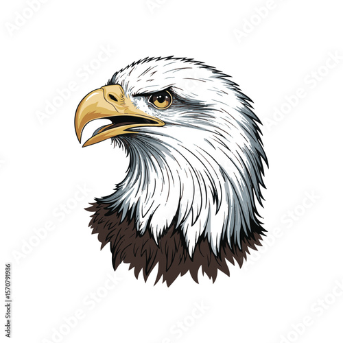 Eagle head