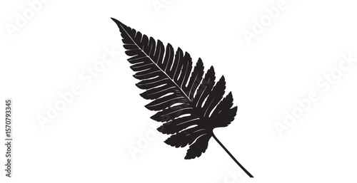 Detailed dark fern frond leaf with intricate veins on a white background silhouette