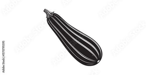 Detailed black and white illustration of a zucchini vegetable silhouette