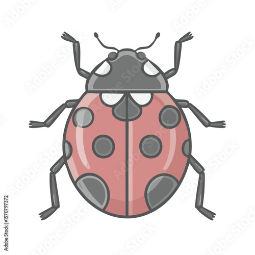Illustrated ladybug with pink body and gray spots on black background cute insect