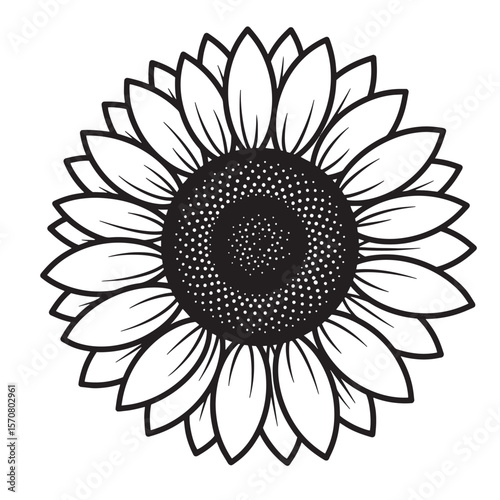 Detailed black and white sunflower illustration on white background for various design purposes