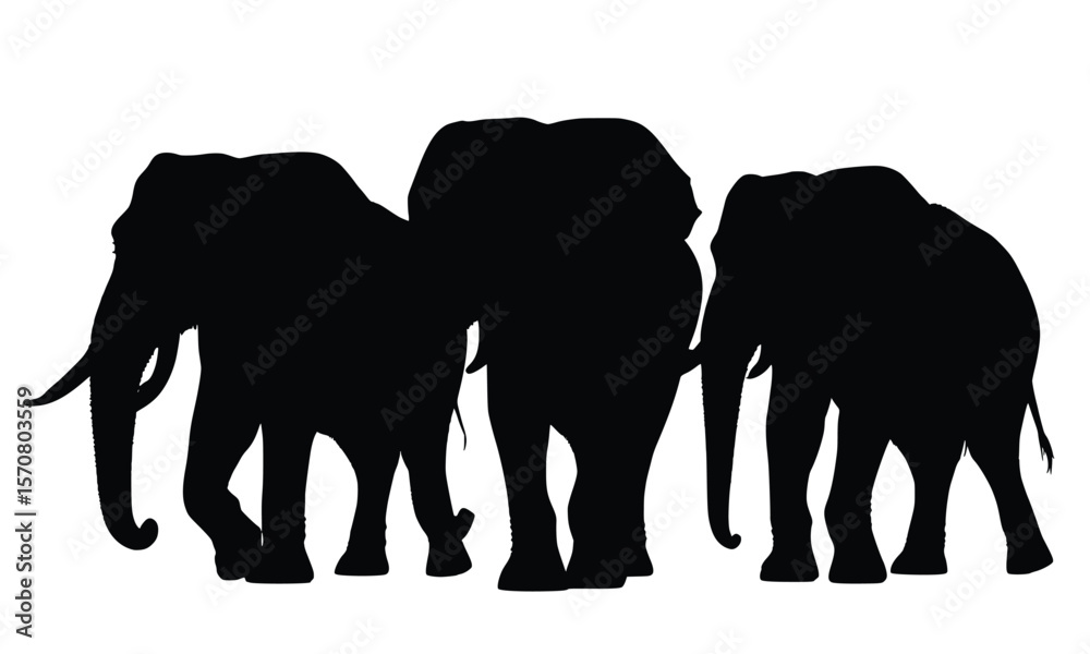 Fototapeta premium Graphic of three elephants in silhouette walking together, ideal for wildlife conservation designs or safari-themed projects.