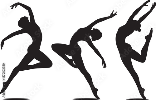 Grace in Motion: Ballerina Silhouettes"
"Dance of Shadows: Trio of Elegant Dancers"
"Poetry in Motion: Silhouettes of Ballet Art"
