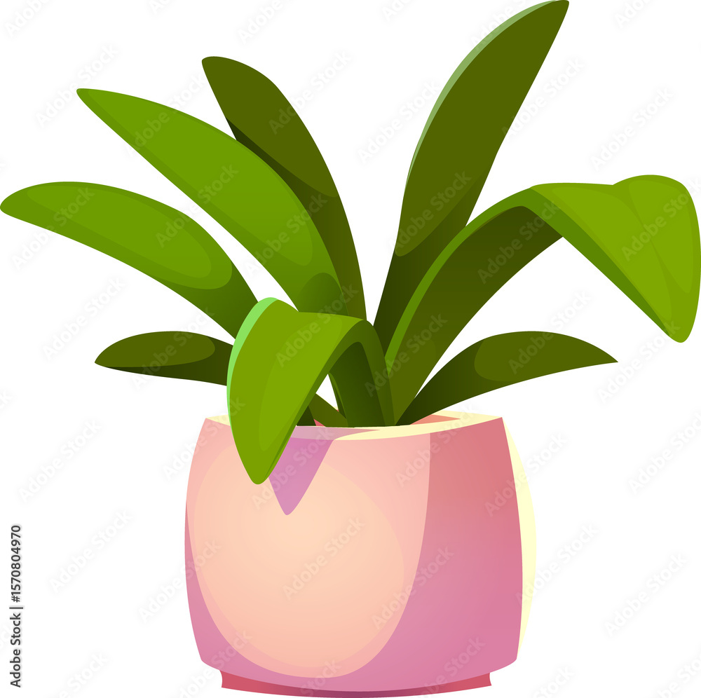 Fototapeta premium Plant in Pot