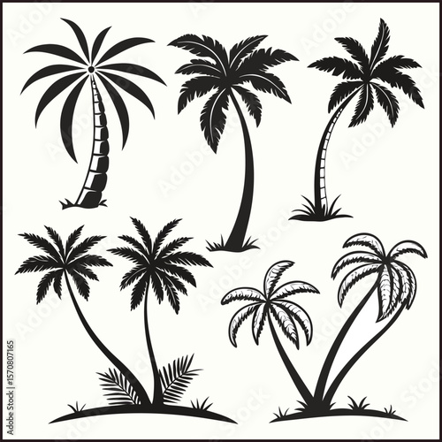Silhouettes palm tree illustration
